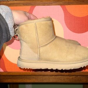 Cozy Tan Ugg Boots
